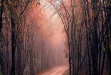 K1体育官网：终于进了！霍尔连续晃动过人，打远角破门，切尔西总比分3-1领先.