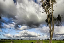 K1体育官网：迈尼昂在法国队两次赢得点球大战，为队史门将第一人.