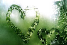 K1体育官网：郑钦文：输球1天内我不想和人说话+允许自己哭 但不会一直板着脸.