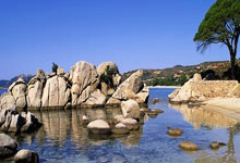 K1体育官网：[英超]布赖顿逆转战胜曼城.